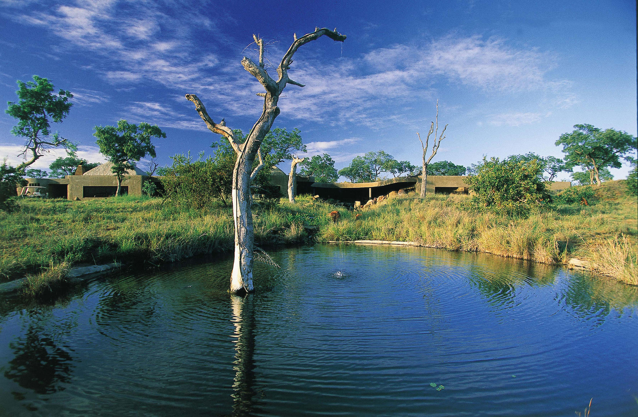 <p>The waterhole is a great place to observe wildlife from a safe distance, and the lodge's trained guides are on hand to provide expert knowledge and insight into the animals' behavior and habits.</p>